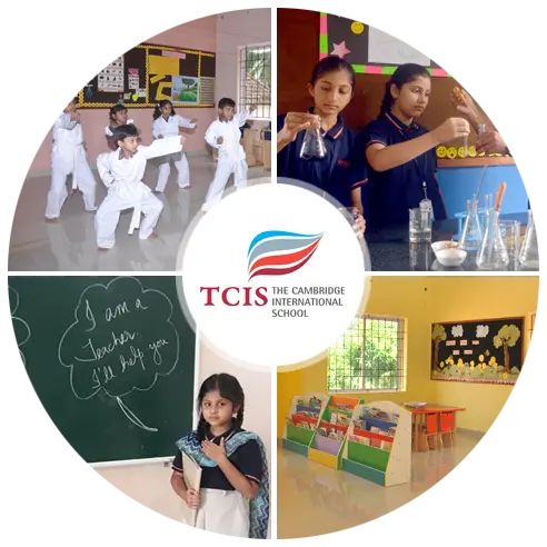 Why Choose TCIS